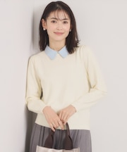 【手洗い可】シャツ襟付きニット