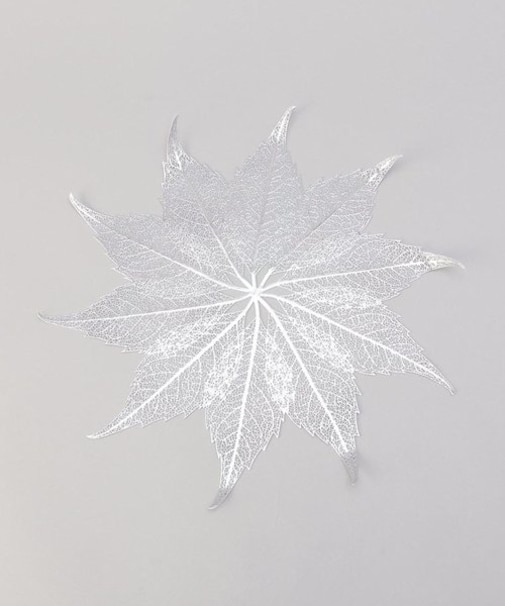 リーフランチョンマット SV