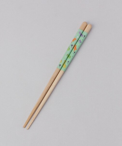 ほんとうにすべらないお箸 子供用 18cm きょうりゅう