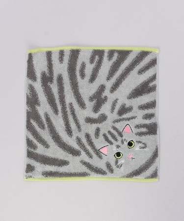 うちの子メイトはんかち サバトラシルバータビー