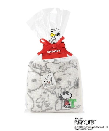 ◆SNOOPY イニシャルミニタオル T