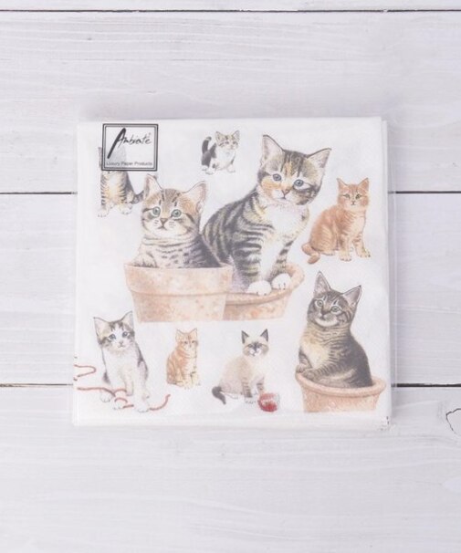 ◆ペーパータオル キュートキトン