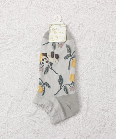 ◆あなたに優しい 逆スパパンダ アンクルソックス