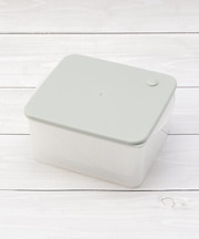 ◆レコポ べジスチ