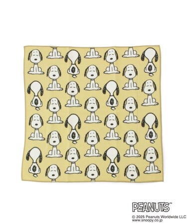 SNOOPY つつめる保冷ランチクロス