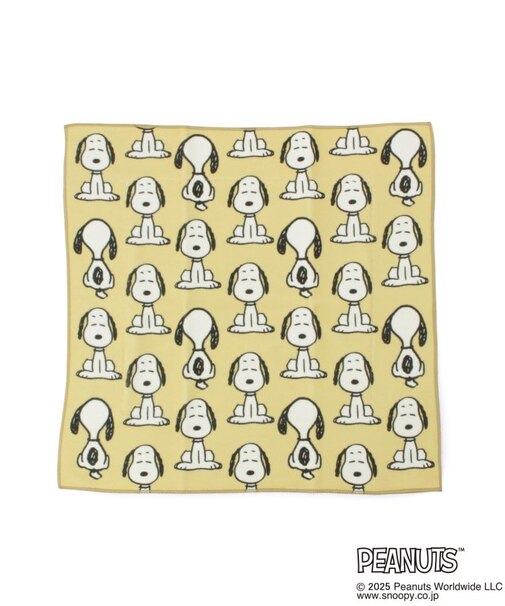 SNOOPY つつめる保冷ランチクロス