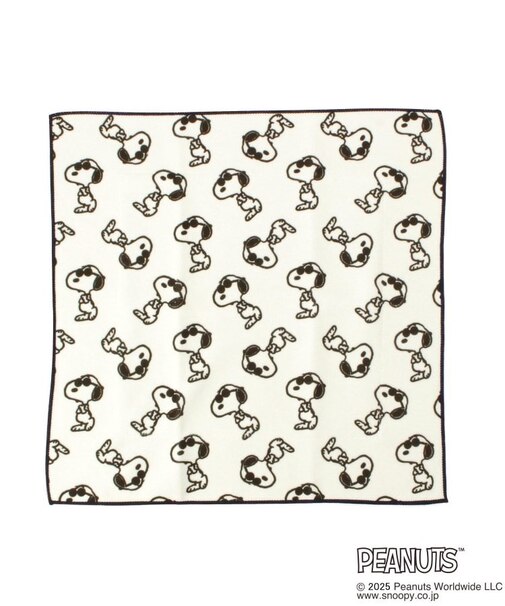 SNOOPY つつめる保冷ランチクロス