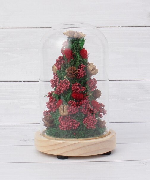 【ワンズテラス限定/クリスマス】モス ツリードーム