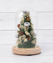 【ワンズテラス限定/クリスマス】モス ツリードーム