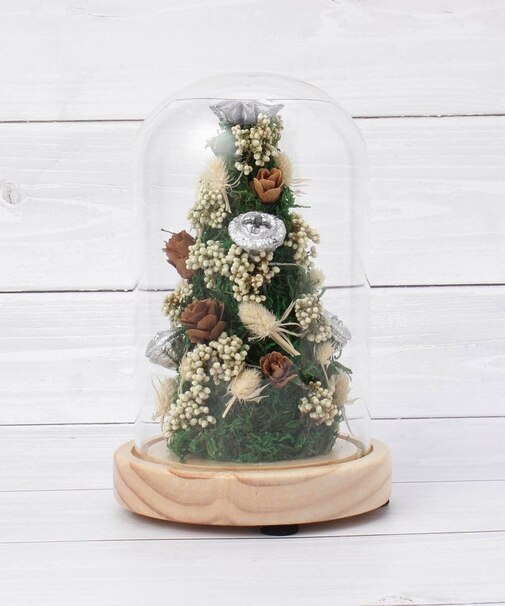 【ワンズテラス限定/クリスマス】モス ツリードーム