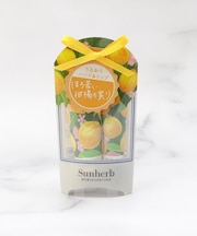 ◆サンハーブ ハンド&リップケアセット