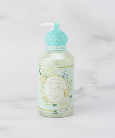 ◆DiB bf ハンド&ボディーソープ