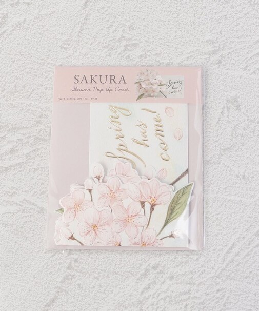 ◆フラワー ポップアップカード 桜
