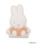 Dick Bruna miffy ダイカットファブリックミラー