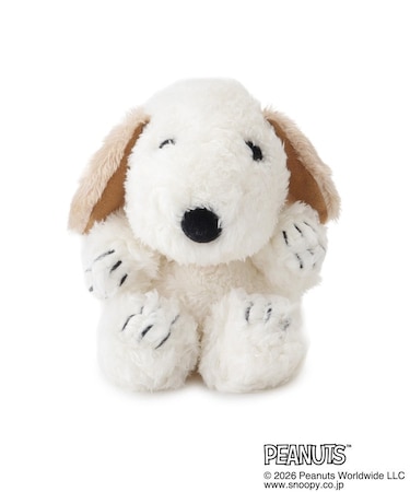 SNOOPY FUWAKUTA アンディ