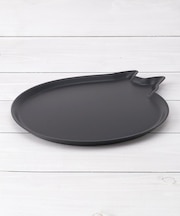 AMI DISH cat M