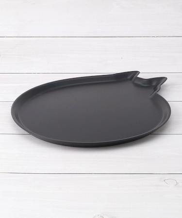 AMI DISH cat M