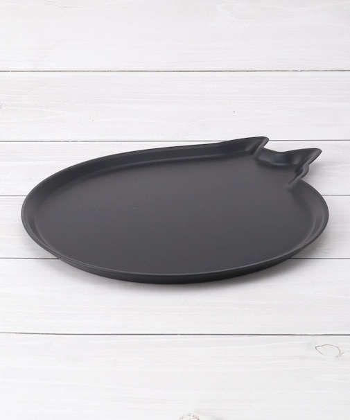 AMI DISH cat M