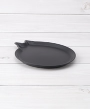 AMI DISH cat S