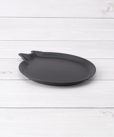 AMI DISH cat S