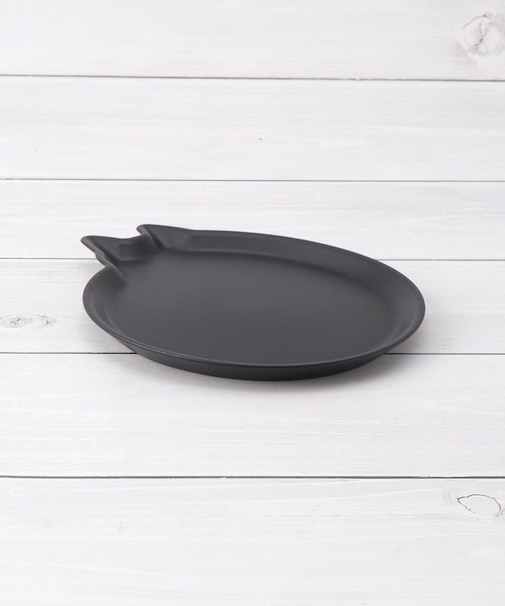 AMI DISH cat S