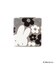 ◆Dick Bruna miffy コンパクトミラー フラワー