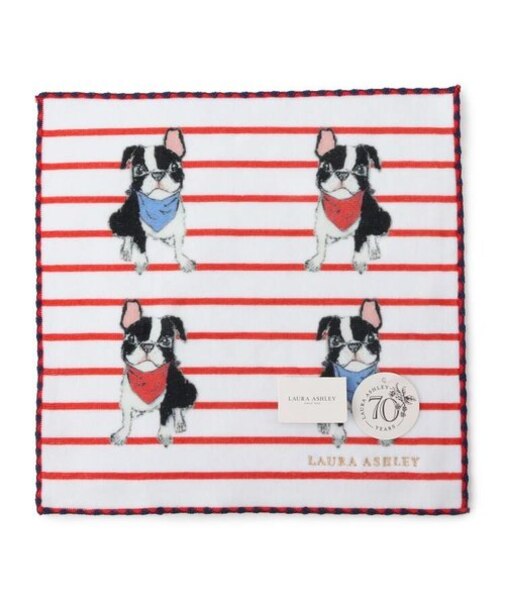 【70周年セレブレーティングプリント】バスターザボストン柄 プリントタオルハンカチ