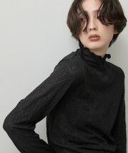 【洗える/秋のレイヤード】シュリンクレース ハイネックプルオーバー