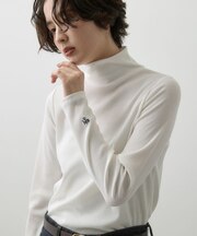 ジンジャー発熱リブタートル