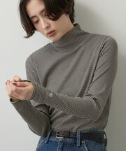 ジンジャー発熱リブタートル