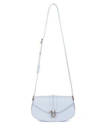 ロゼット リザード