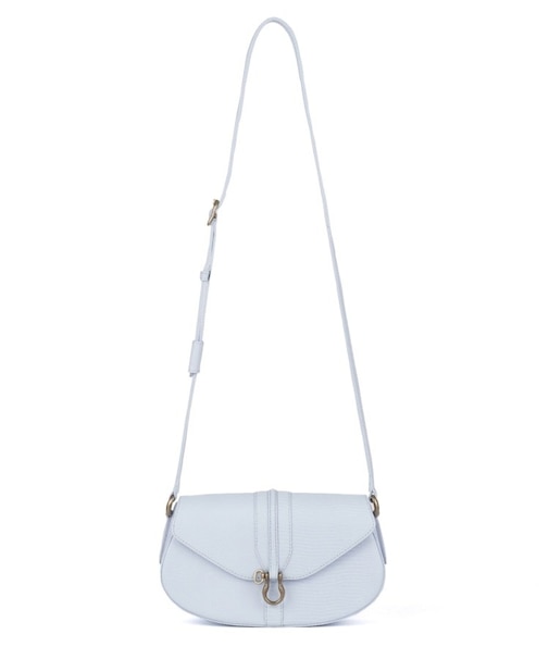 ロゼット リザード