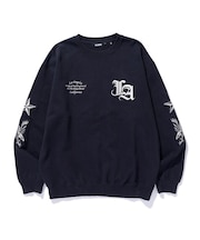 VARSITY CREWNECK SWEATSHIRT