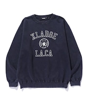 COLLEGE LOGO CREWNECK SWEATSHIRT