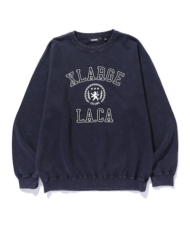 COLLEGE LOGO CREWNECK SWEATSHIRT