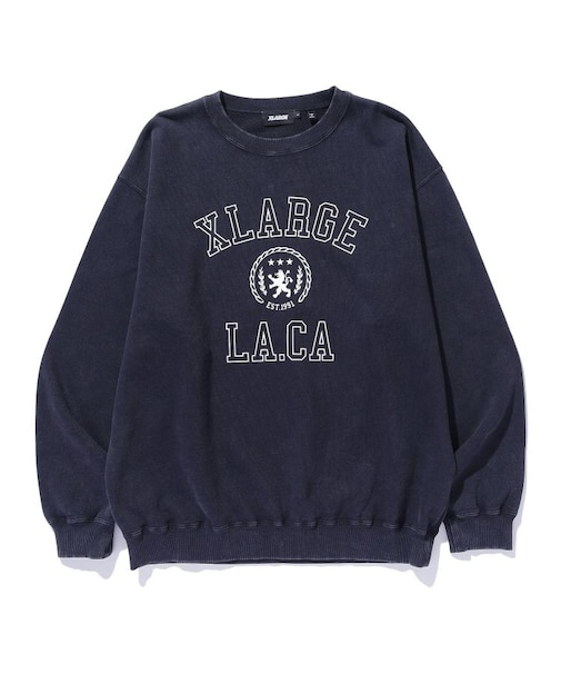 COLLEGE LOGO CREWNECK SWEATSHIRT