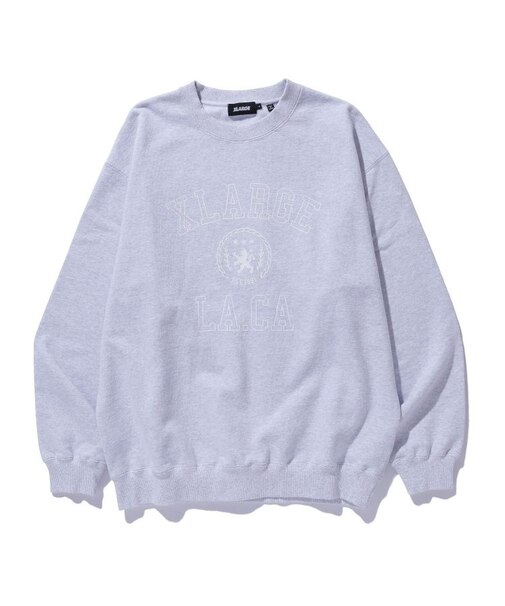 COLLEGE LOGO CREWNECK SWEATSHIRT
