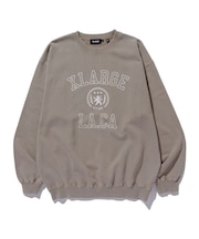 COLLEGE LOGO CREWNECK SWEATSHIRT