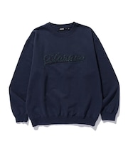 CHENILLE LOGO CREWNECK SWEATSHIRT