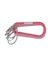 STANDARD LOGO KEYRING CARABINER