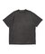STANDARD LOGO FADE S/S TEE
