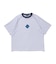 COLOR SCHEME RAGLAN S/S TEE