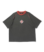 COLOR SCHEME RAGLAN S/S TEE