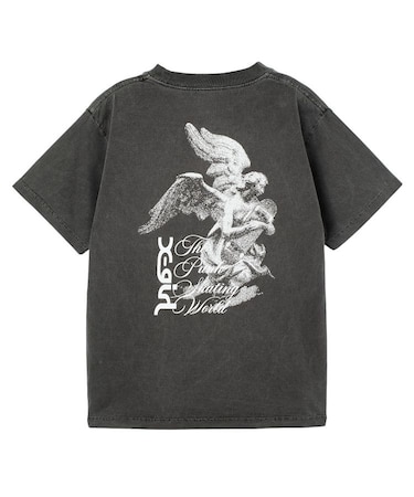 FADED SKATE ANGEL S/S TEE