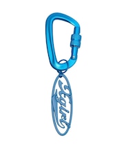OVAL LOGO CARABINER
