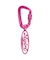 OVAL LOGO CARABINER