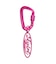 OVAL LOGO CARABINER