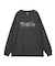 FADED RHINESTONE STARDUST LOGO L/S BIG TEE DRESS