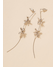 SLV