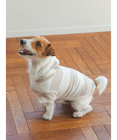 【CAT&DOG】【販路限定商品】スムーズィー２ボーダーdogパーカ